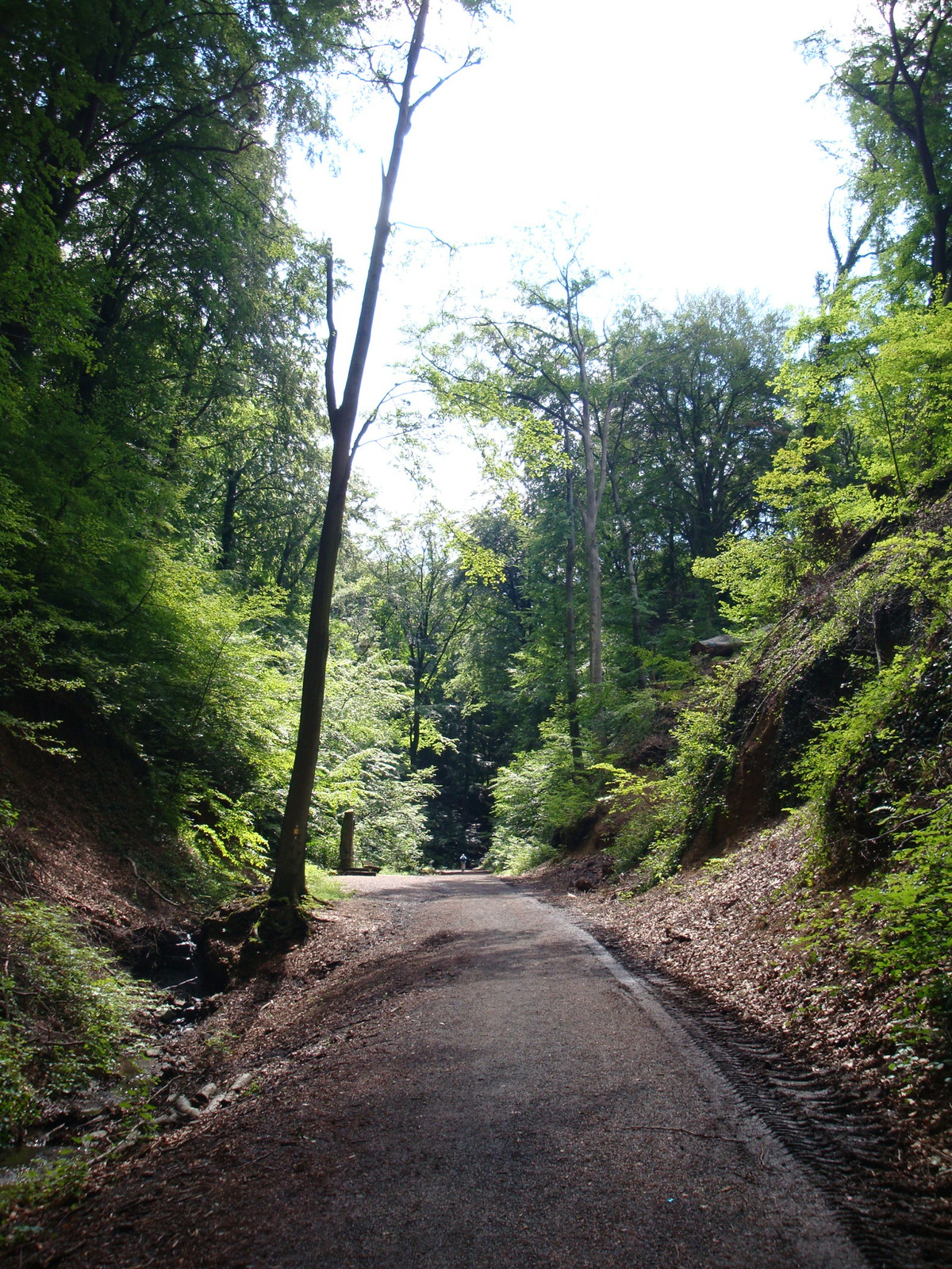 Drachenburg